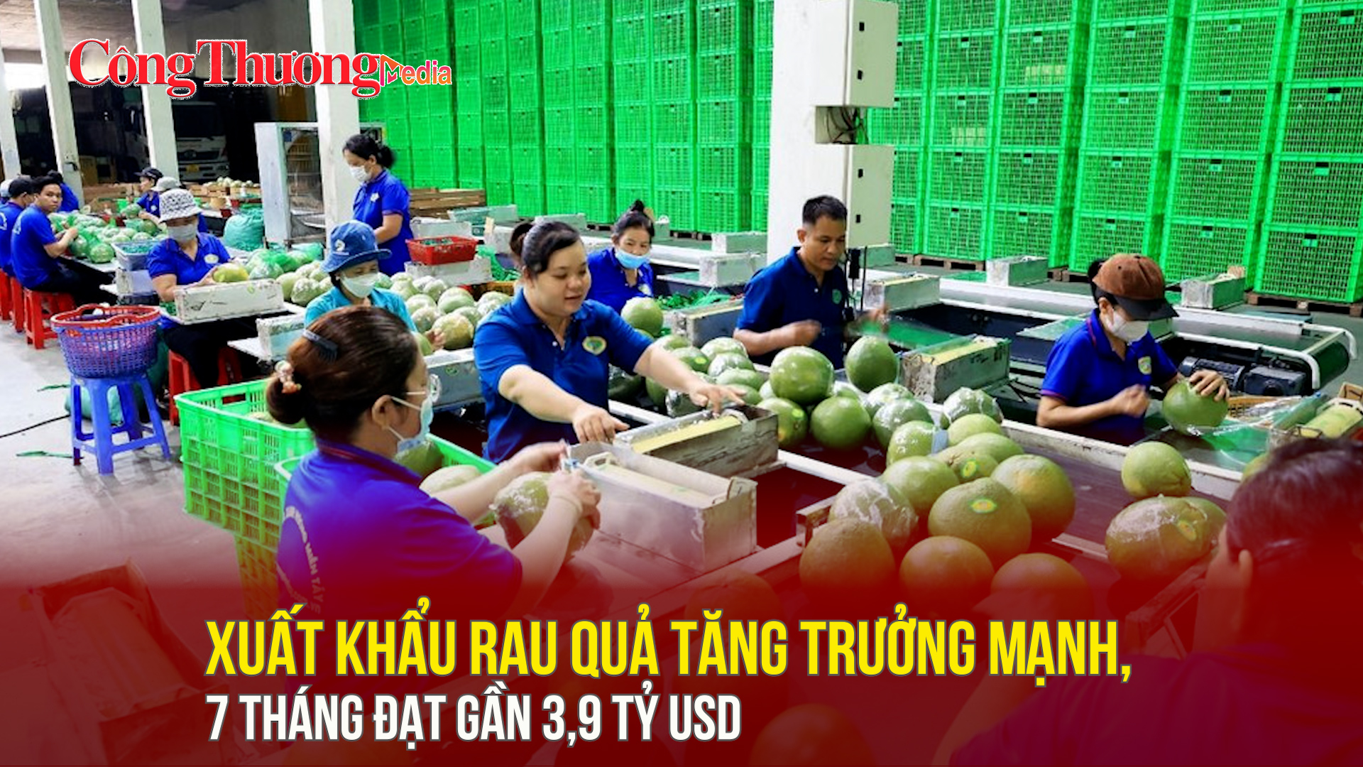 Xuất khẩu rau quả tăng trưởng mạnh, 7 tháng đạt gần 3,9 tỷ USD