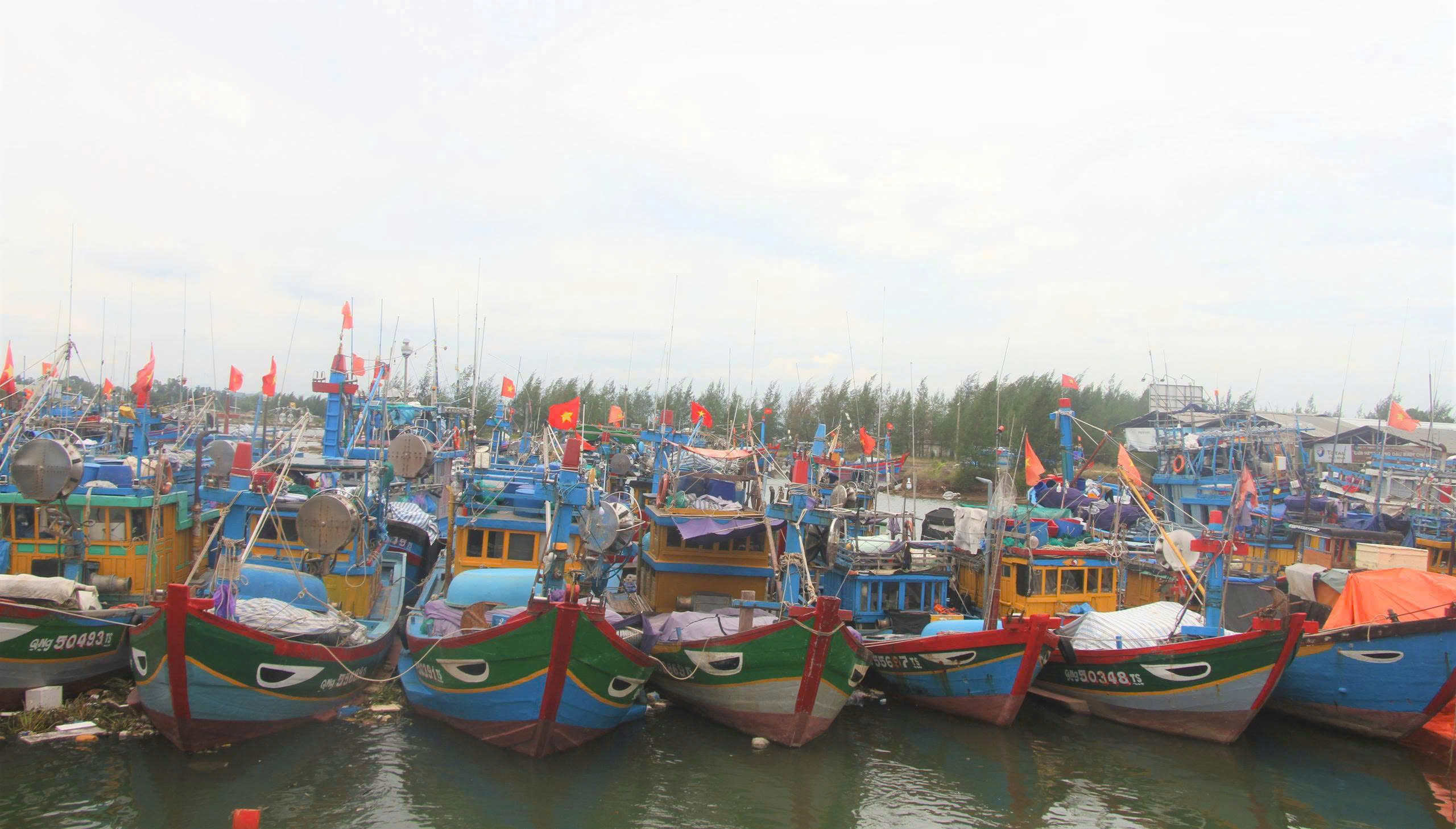 Quảng Ngãi: Kêu gọi tàu thuyền vào bờ, chủ động sơ tán dân vùng nguy cơ sạt lở