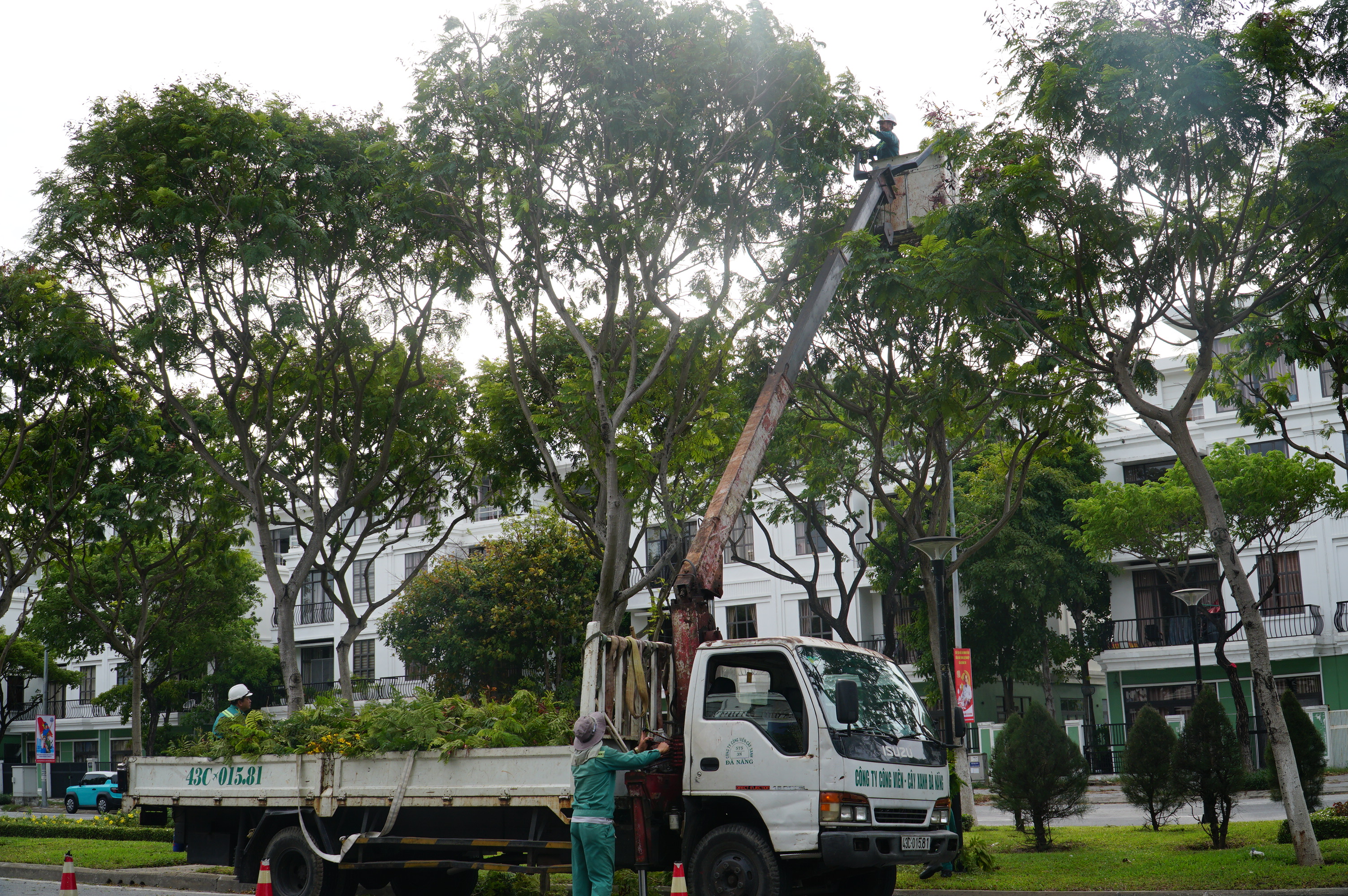Đà Nẵng: Trước bão số 5, còn hàng chục nghìn hecta hoa màu, thủy sản chưa thu hoạch