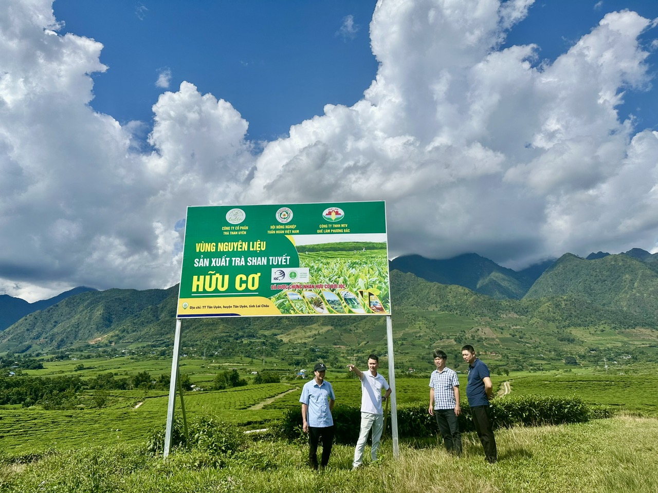 Chè Than Uyên: Xây dựng thương hiệu nông sản đặc trưng của Lai Châu