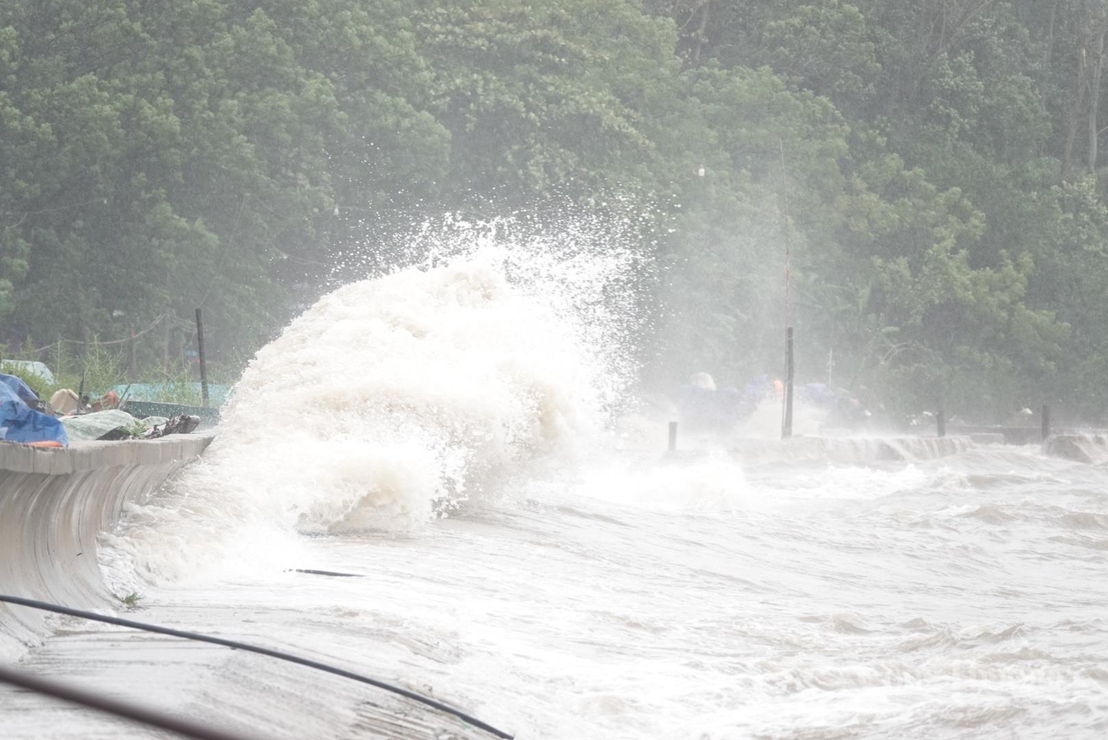 Thanh Hóa: Bão số 5 quật đổ cây, sóng biển cuồn cuộn ập vào bờ