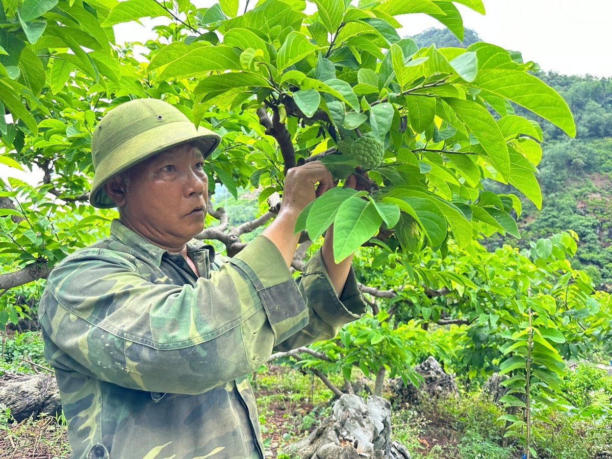 Phát triển mô hình kinh tế: Yếu tố giảm nghèo cốt lõi của Thái Nguyên