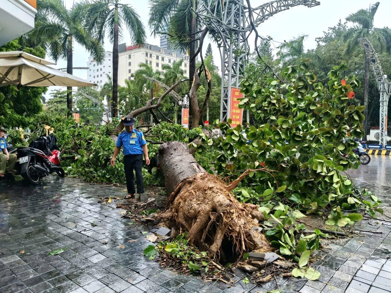 Thanh Hóa khẩn trương khắc phục thiệt hại sau khi bão số 5 càn quét