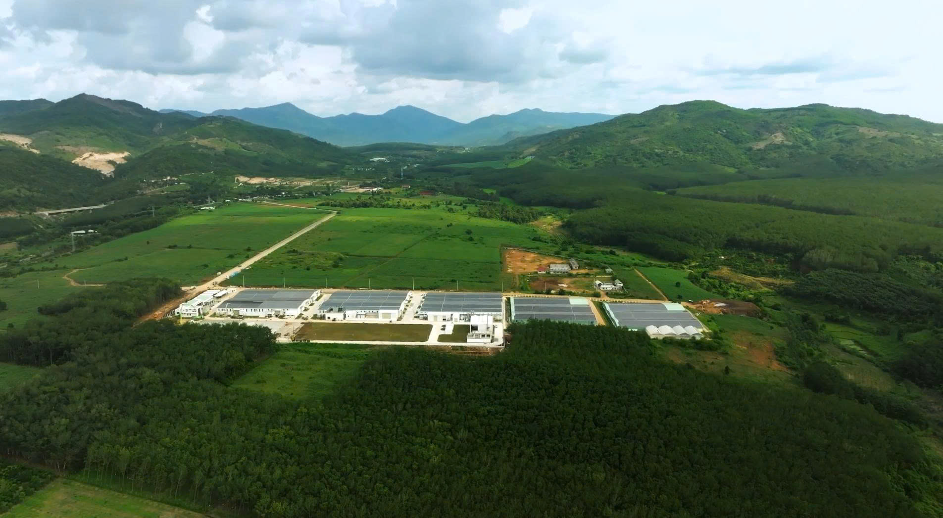 Nông sản Sao Mai: Bước ngoặt đưa tinh hoa Việt chinh phục thị trường toàn cầu