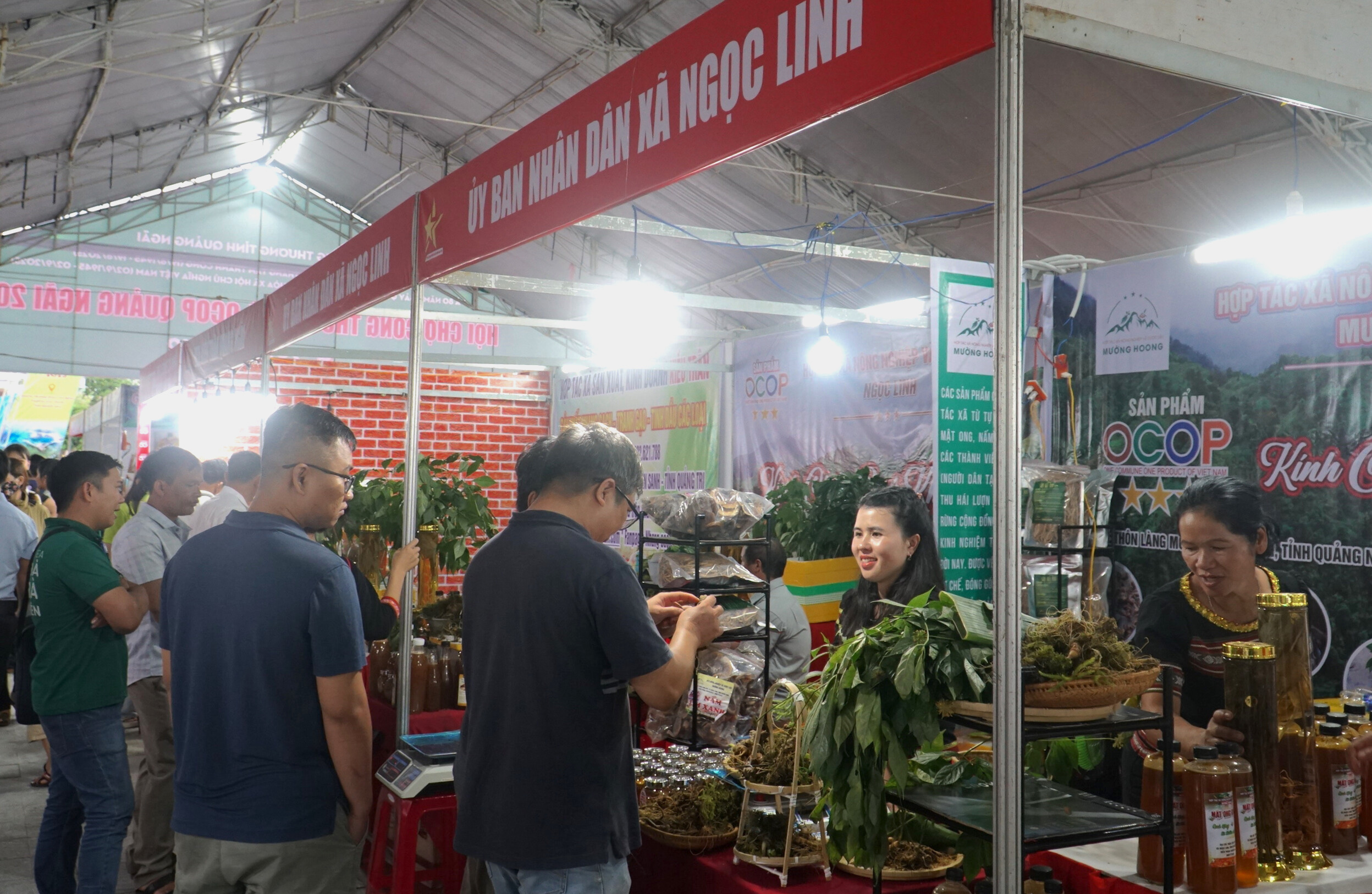 Quảng Ngãi: Kết nối giao thương hàng hóa từ Đông sang Tây