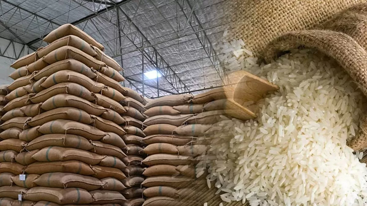 Gạo Việt khẳng định vị thế: Dấu ấn từ xúc tiến thương mại và hội nhập