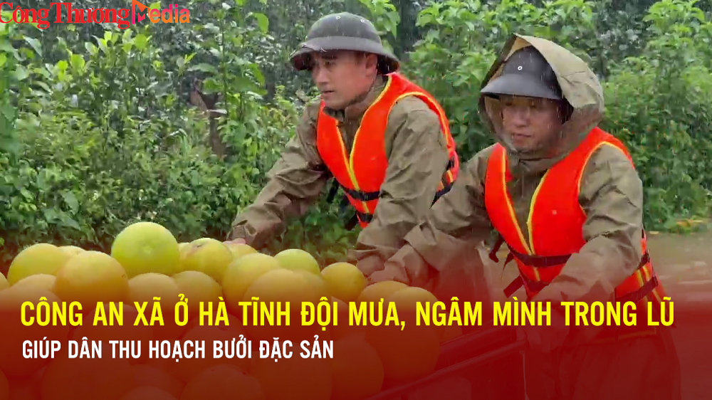 Hà Tĩnh: Công an đội mưa, ngâm mình trong lũ giúp dân thu hoạch bưởi