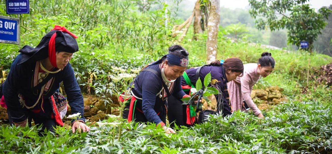 Đa dạng sinh kế, số hóa để ngăn tái nghèo