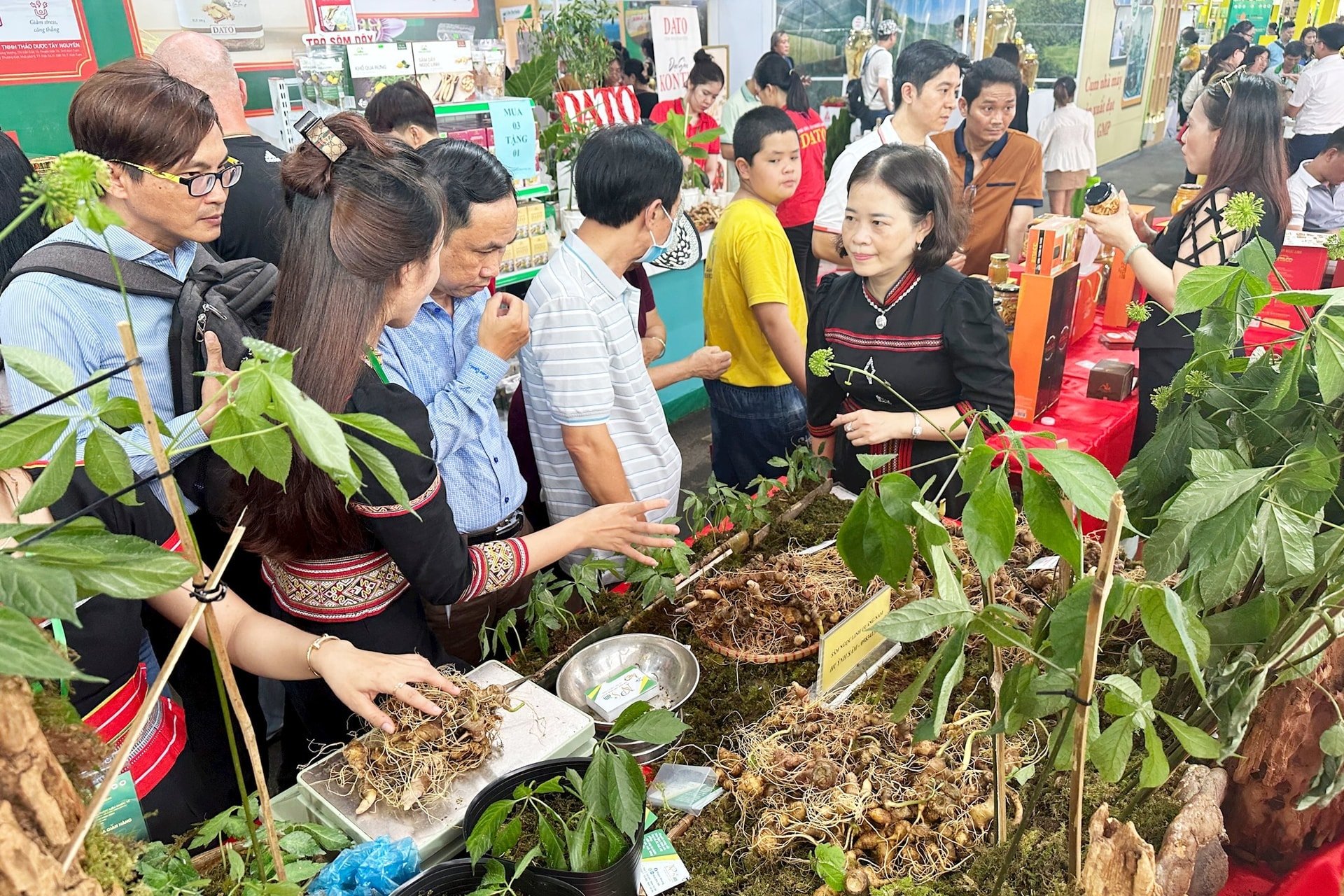 Mở rộng thị trường nông sản, thúc đẩy phát triển kinh tế vùng đồng bào