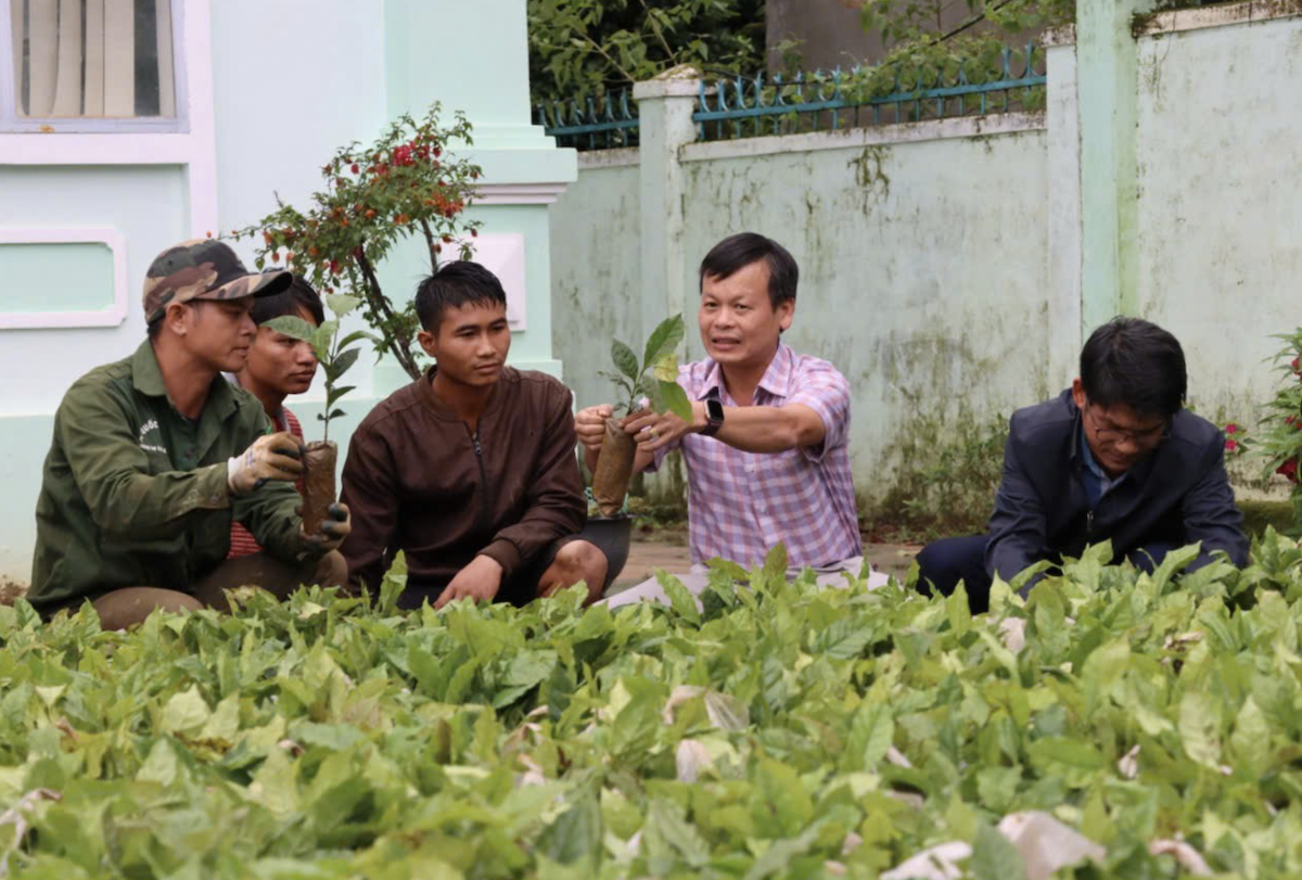 Những phiên chợ 0 đồng trao sinh kế ở vùng cao