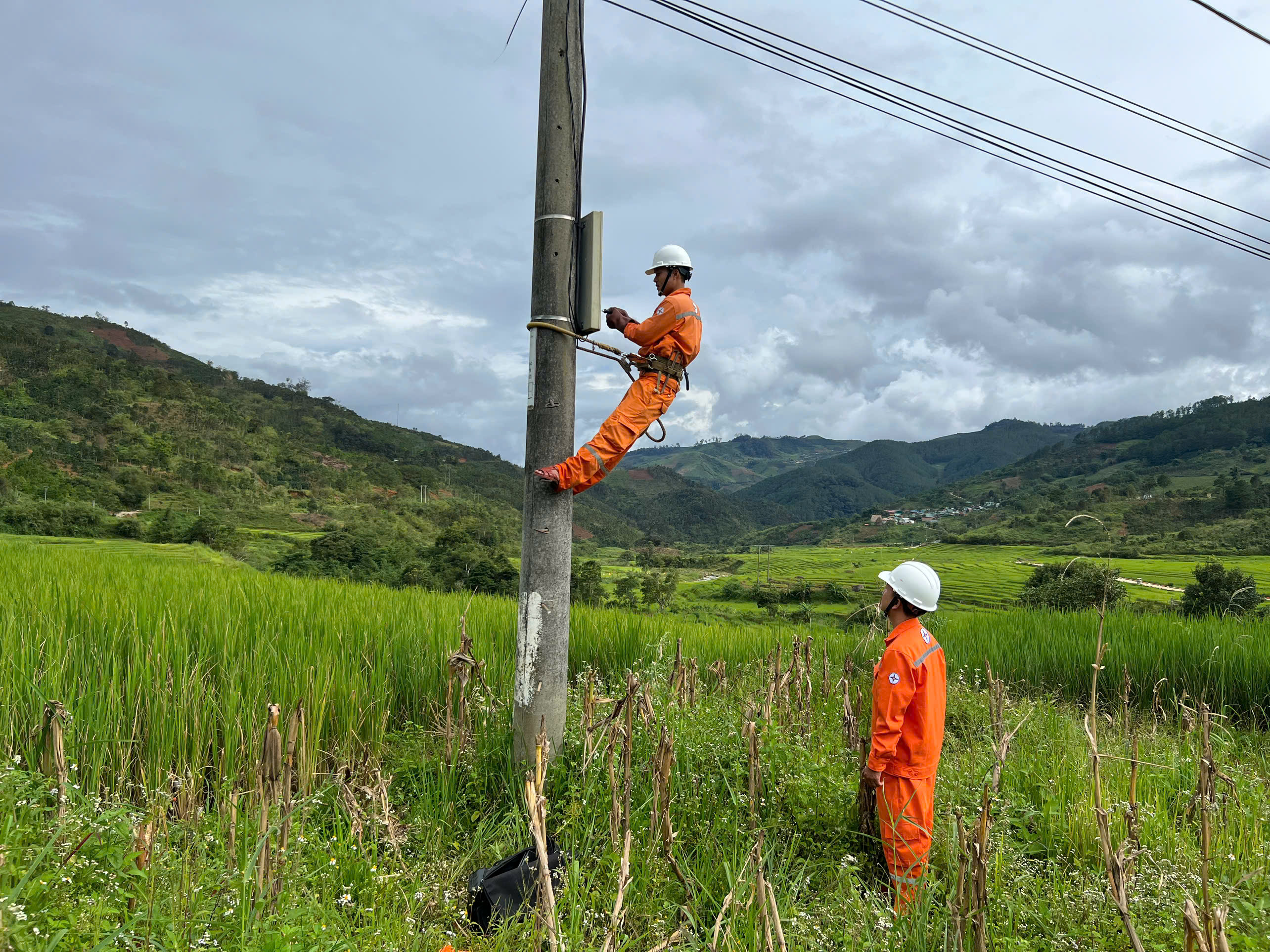 PC Quảng Ngãi: Chủ động bảo đảm an toàn điện mùa mưa bão tại khu vực 