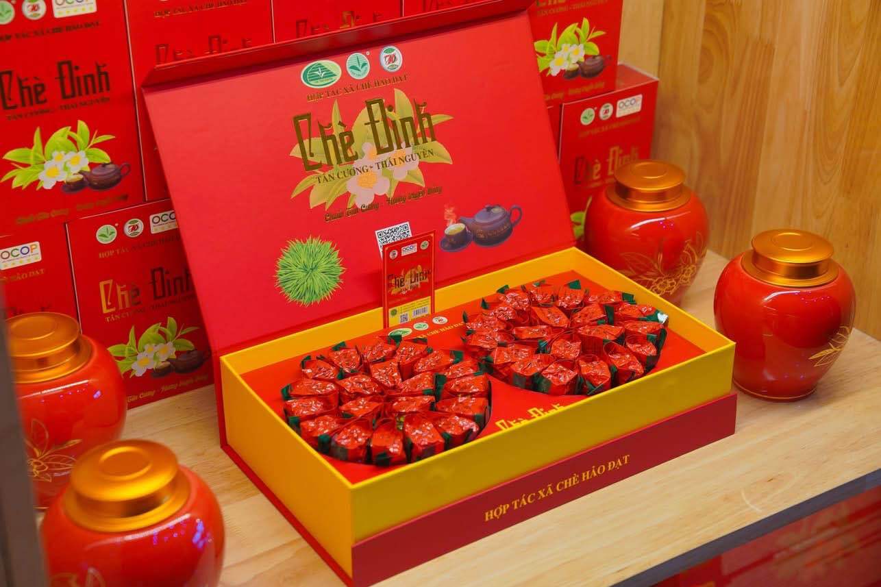 Chè Hảo Đạt: Tinh hoa trà Tân Cương, tự hào thương hiệu Việt