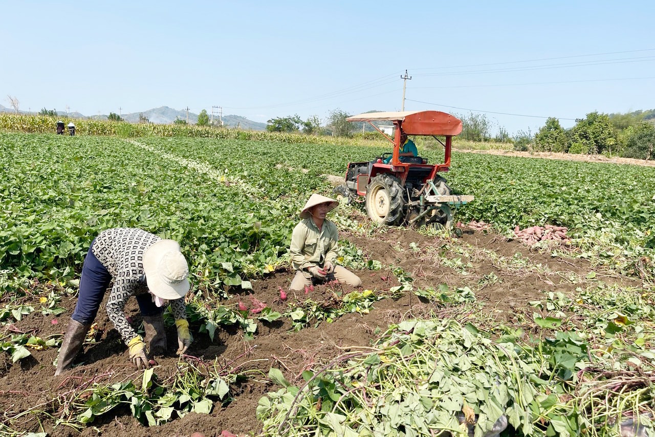 Tích hợp nguồn lực để mỗi làng quê ở Lâm Đồng thêm ấm no, văn minh
