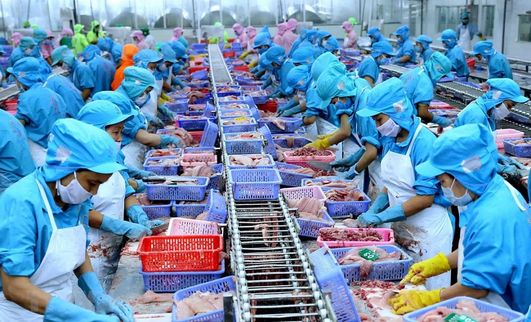 Thị trường Đài Loan (Trung Quốc) tăng nhập khẩu thủy sản từ Việt Nam