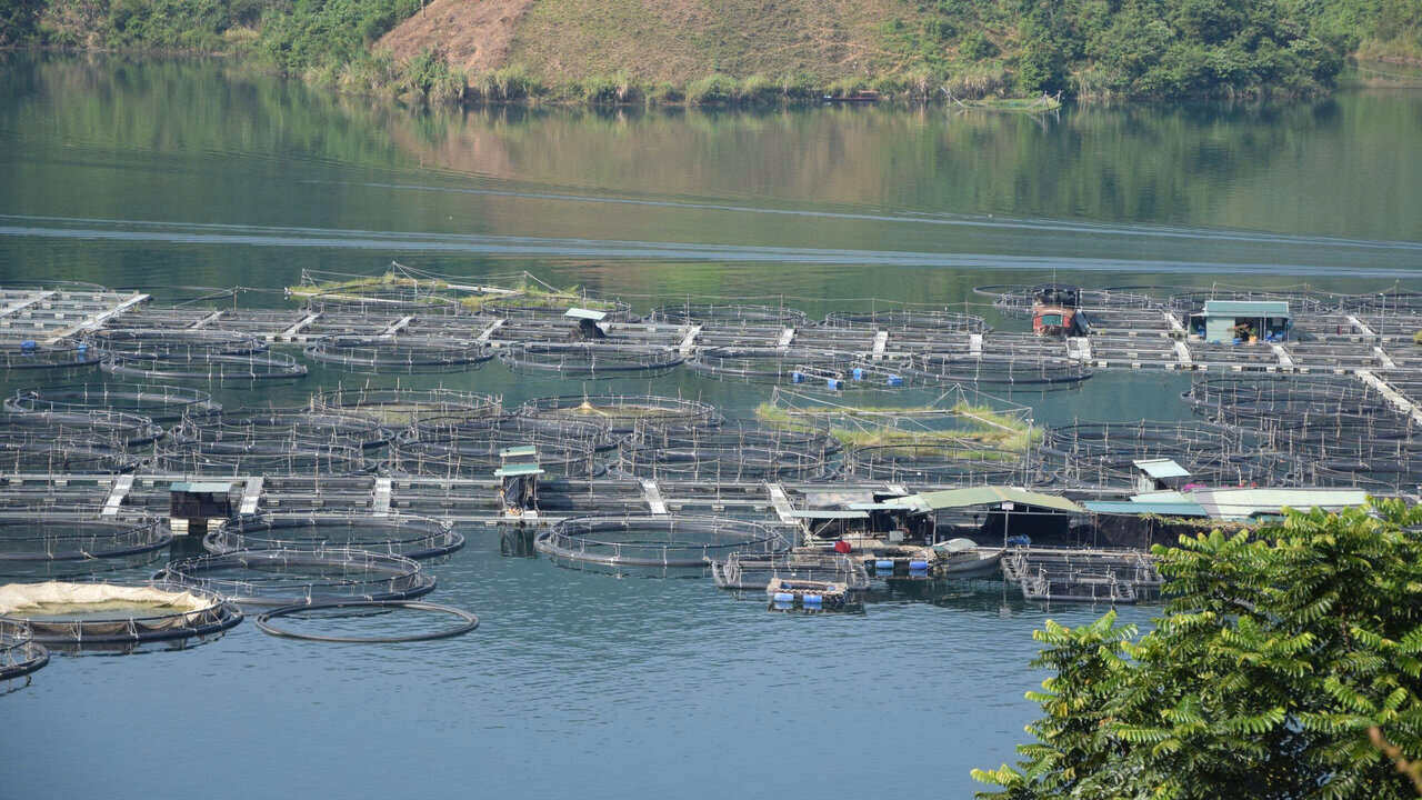 Khai thác tiềm năng lòng hồ, đồng bào dân tộc vững bước thoát nghèo