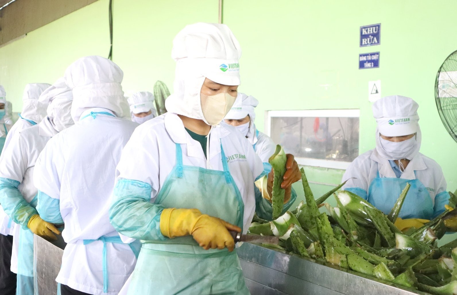 Gắn xây dựng thương hiệu với phát triển bền vững