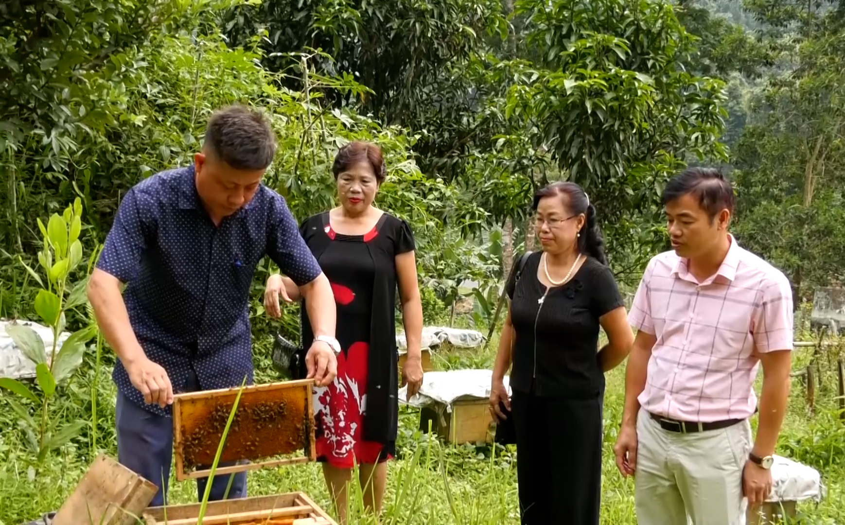 Nông dân vùng cao năng động, viết tiếp câu chuyện thoát nghèo
