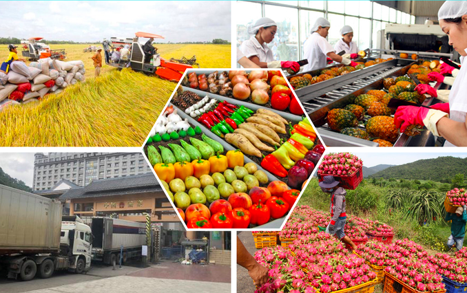 Xuất khẩu nông, lâm, thủy sản 8 tháng tăng 12%
