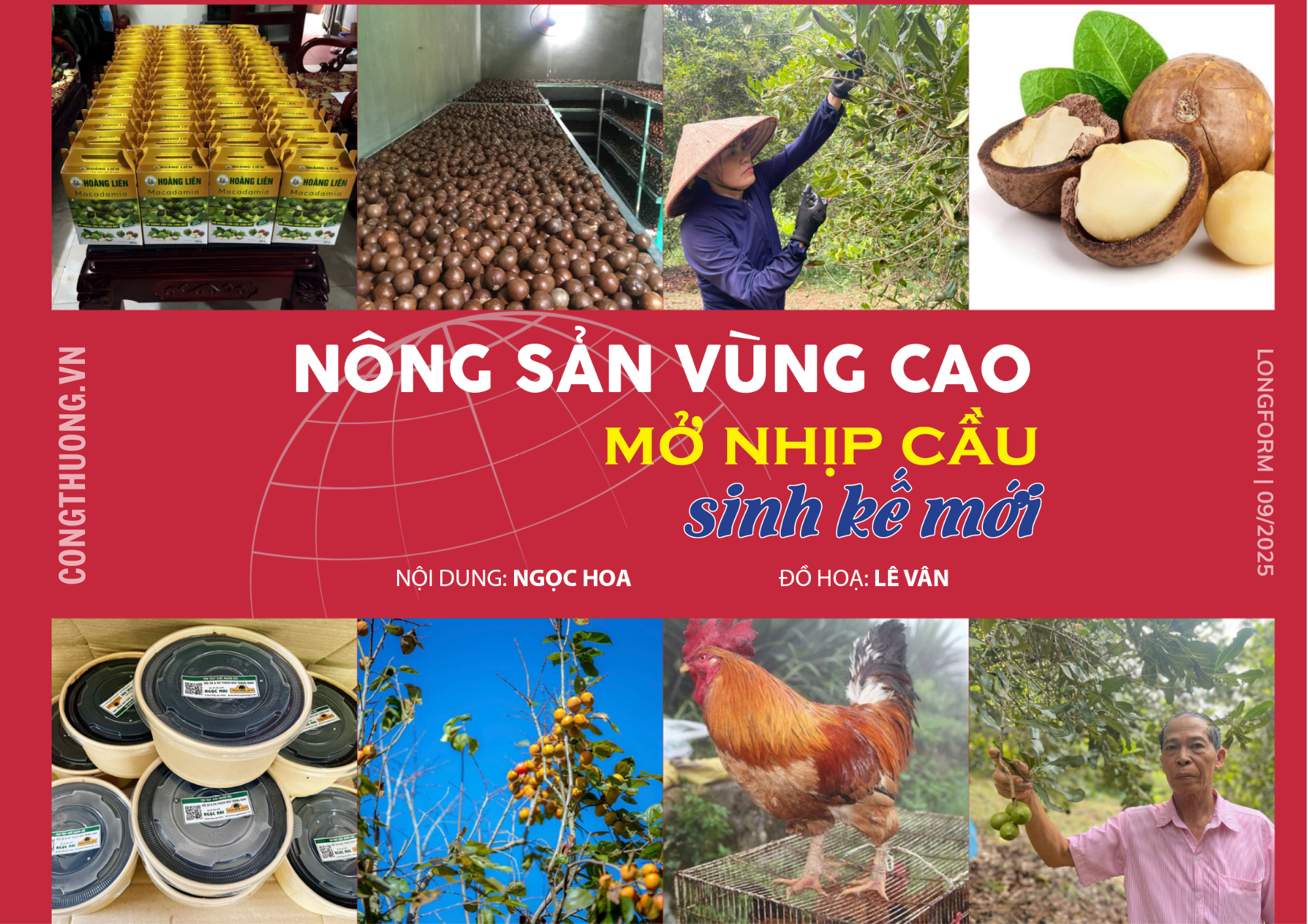 Longform | Nông sản vùng cao mở nhịp cầu sinh kế mới