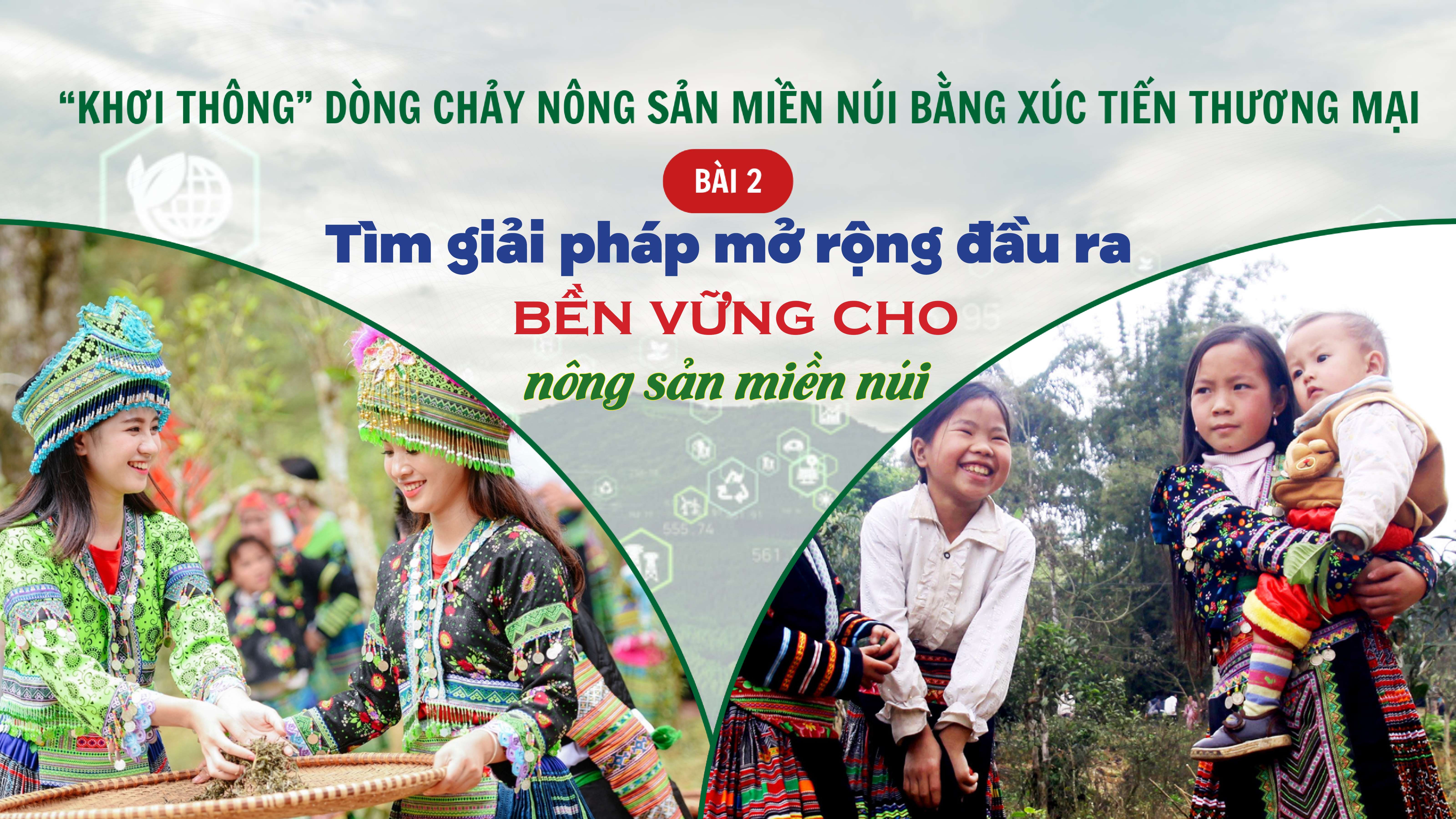 Longform | Tiêu thụ nông sản miền núi bằng xúc tiến thương mại: Bài 2