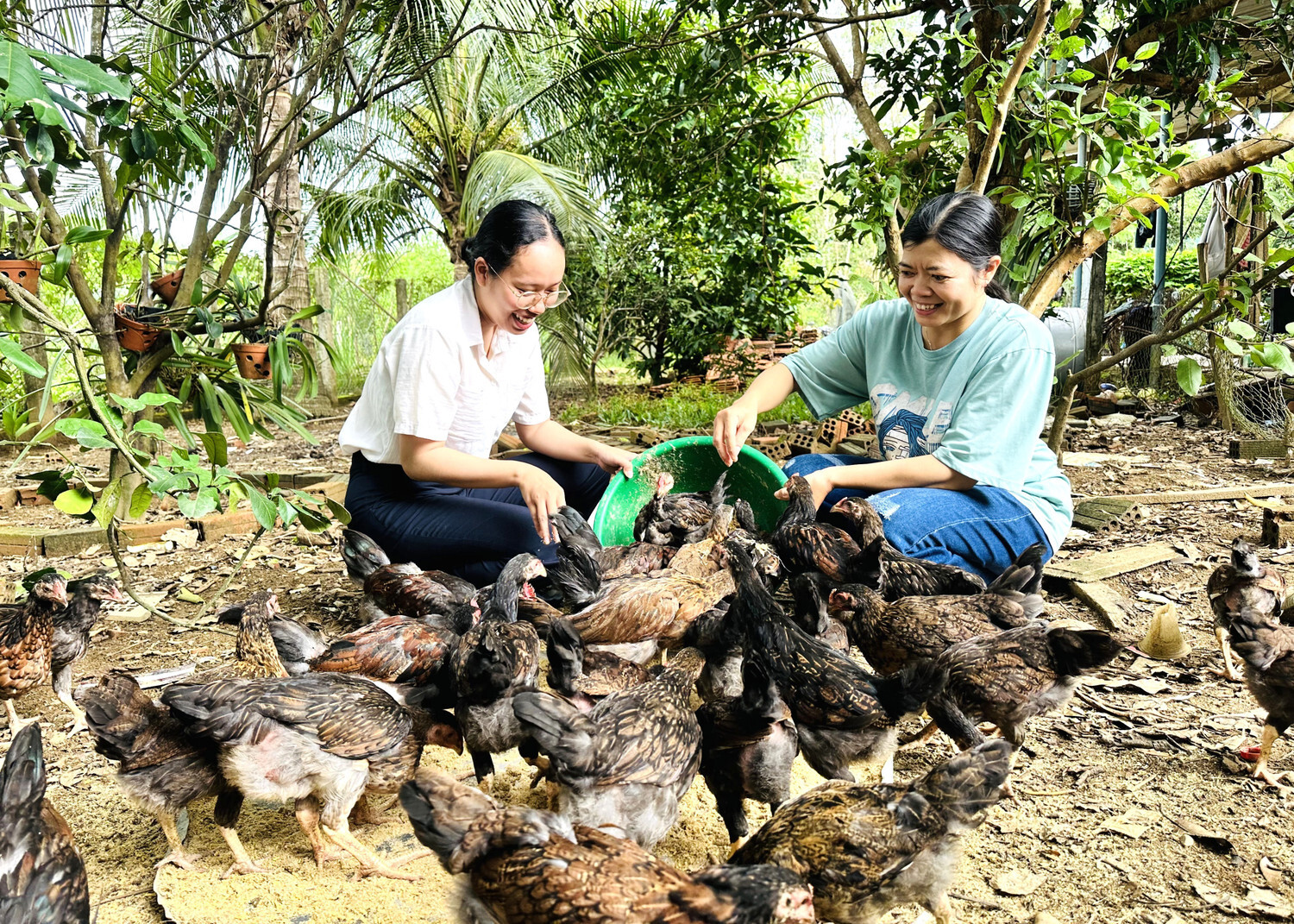 Người dân thôn Tmang Gheng, xã An Vĩnh phát triển chăn nuôi để thoát nghèo