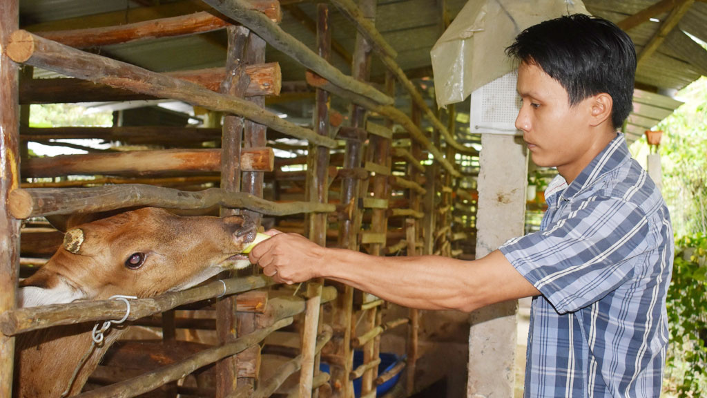 Gỡ “nút thắt” giảm nghèo từ vốn, kỹ năng và đầu ra sản phẩm