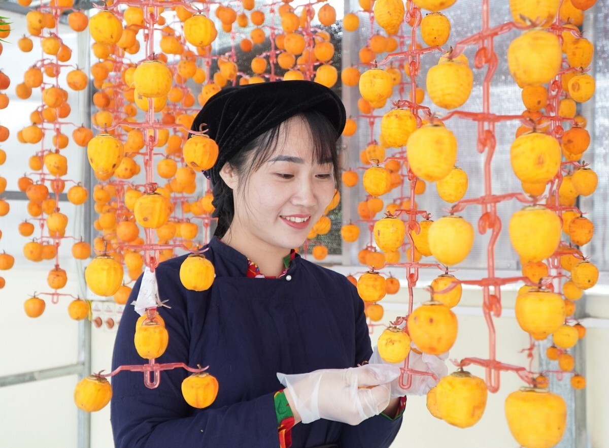 Ngọt ngào trái hồng vành khuyên xứ Lạng