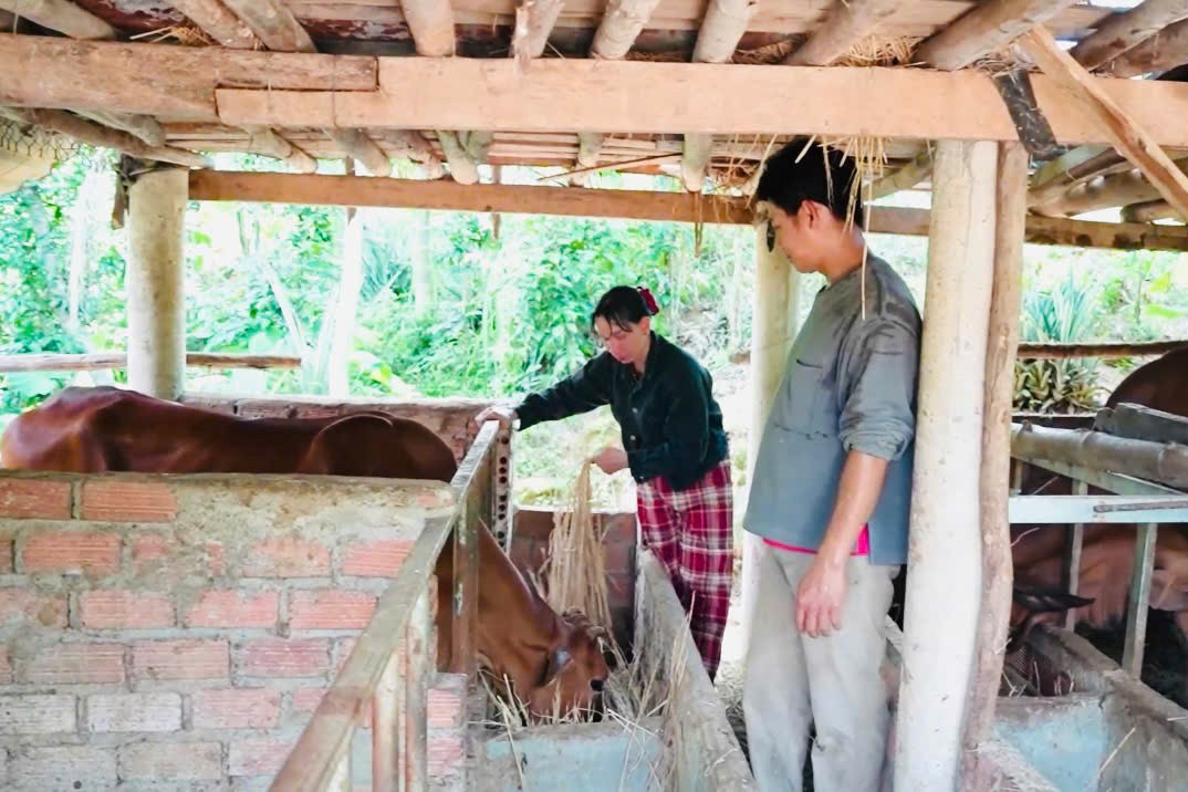 ‘Cầm tay, chỉ việc’ giúp vùng miền núi Quảng Ngãi thoát nghèo bền vững