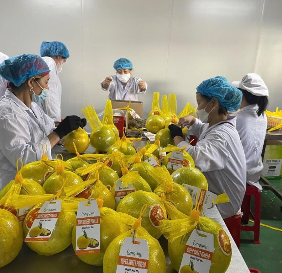 Chuẩn hóa bằng khoa học, nông sản miền núi chiếm lĩnh thị trường