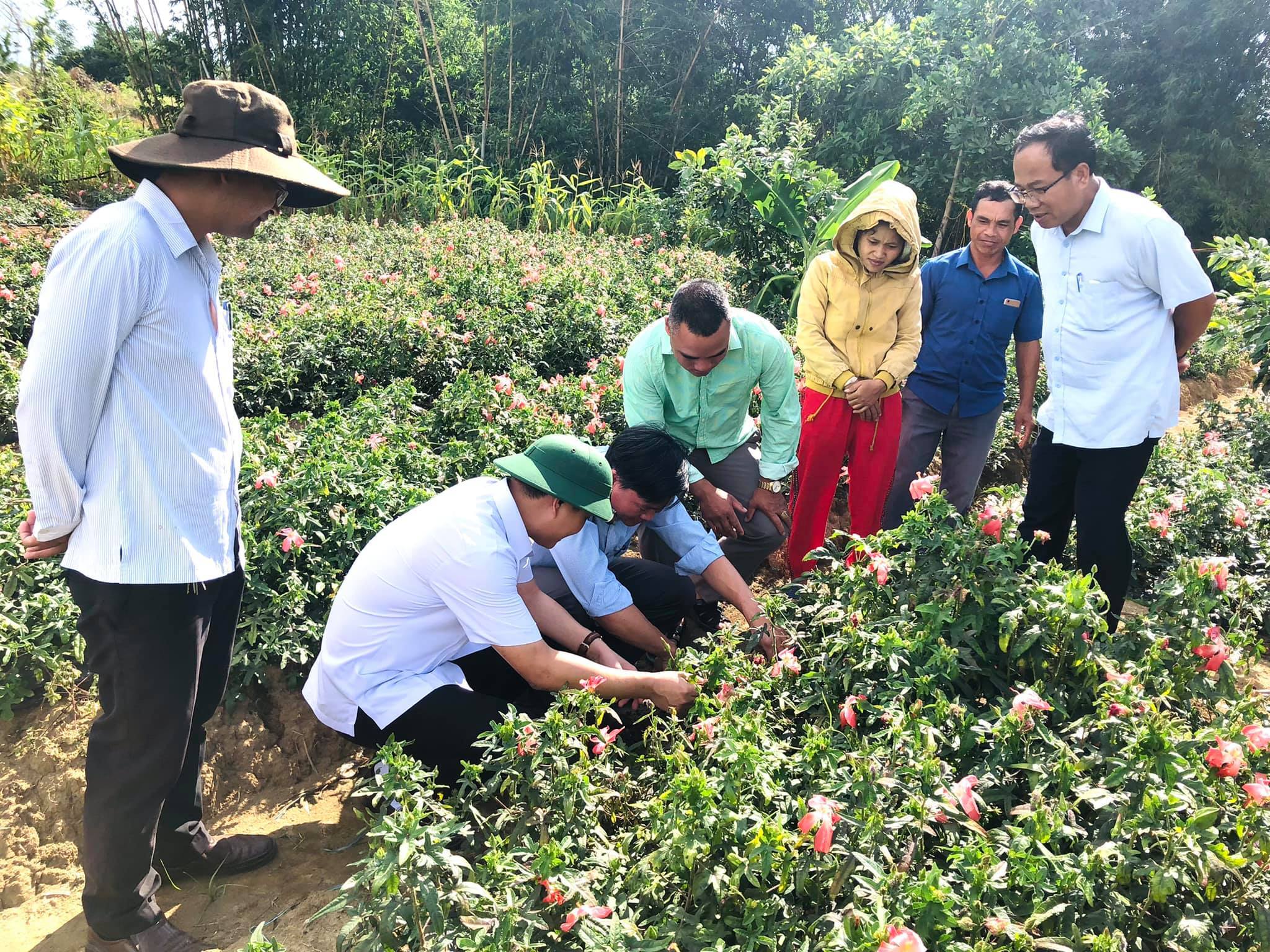 A Lưới 4 đẩy mạnh phát triển đa ngành để giảm nghèo bền vững