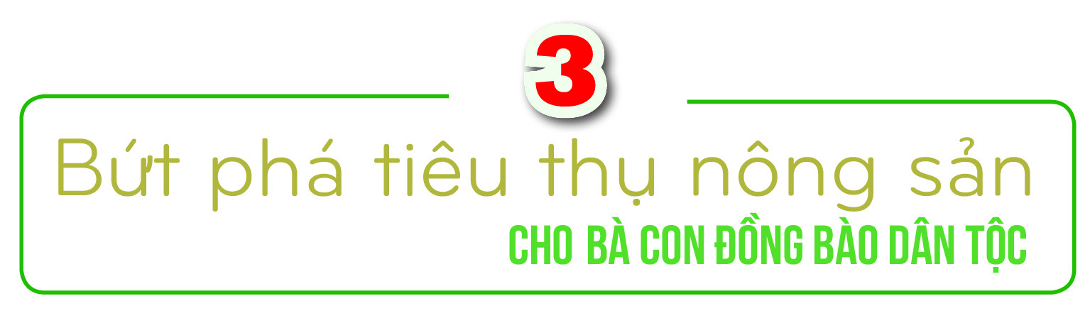 Longform | Nông sản vùng dân tộc thiểu số: Khát vọng vươn ra toàn cầu - 7