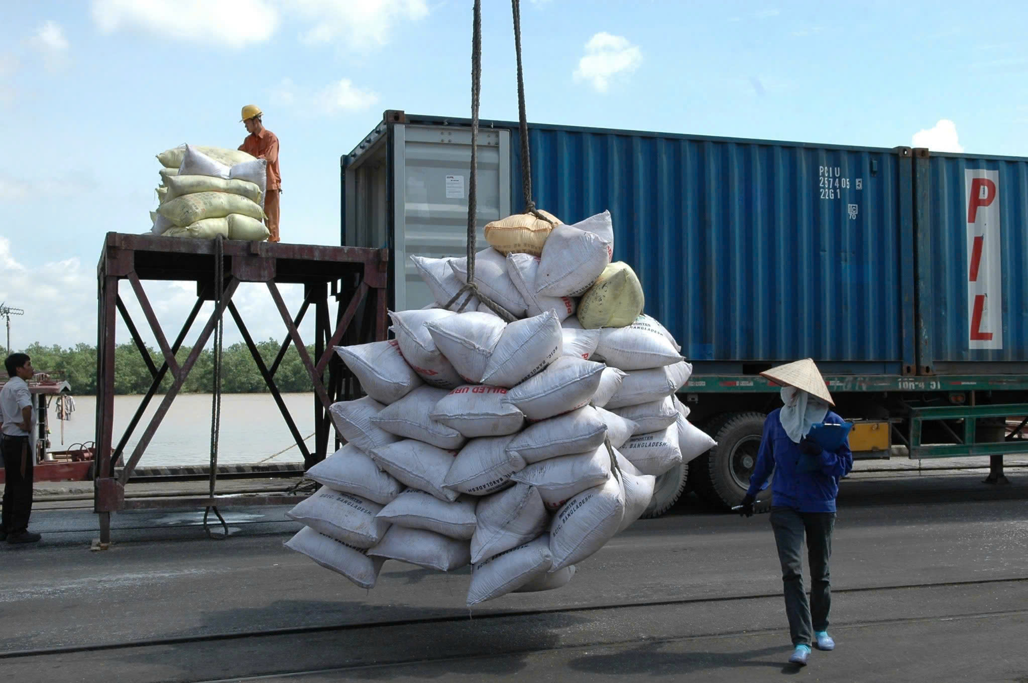 Cục Xuất nhập khẩu: Doanh nghiệp cần chủ động đa dạng thị trường gạo