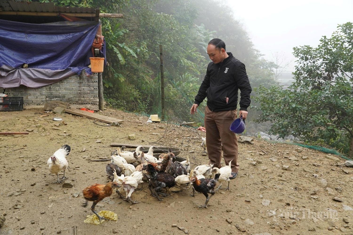 Thanh Hóa: Khi người Mông thoát nghèo từ thương hiệu OCOP gà đen