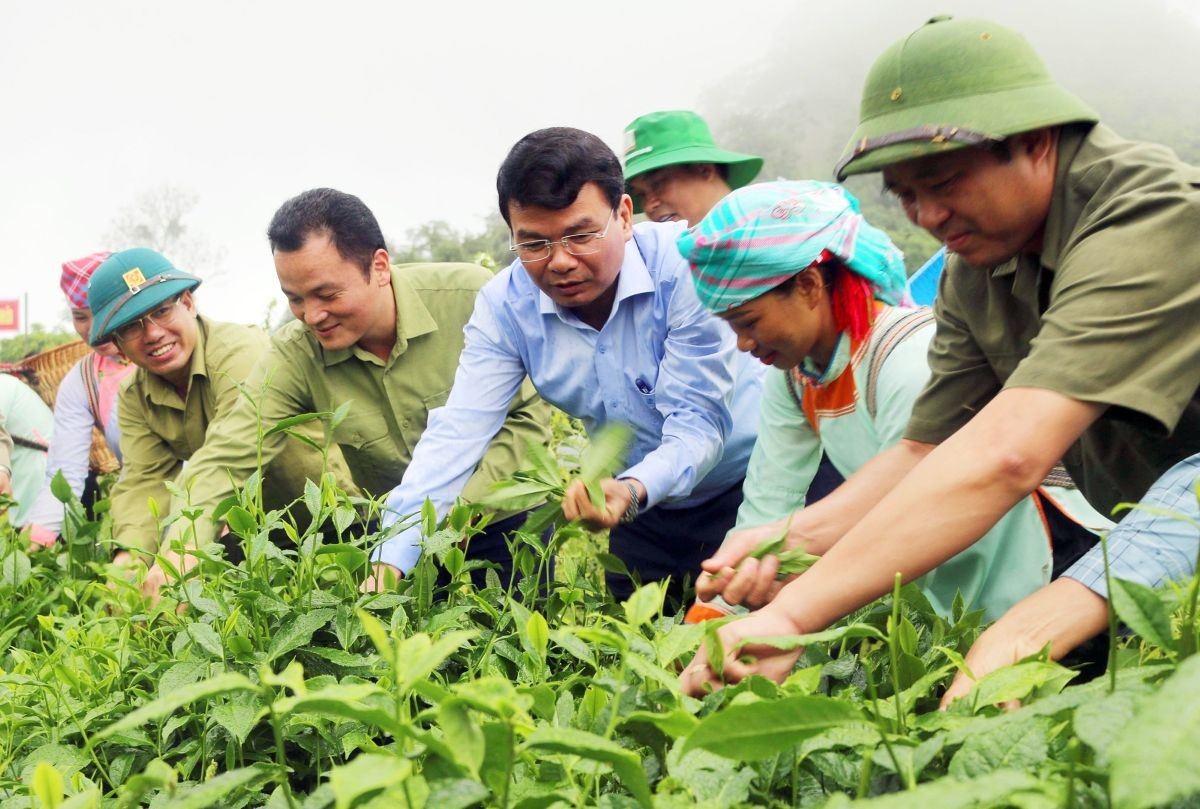 Thái Nguyên: Từ “trao cần câu” đến bền vững trong công cuộc giảm nghèo