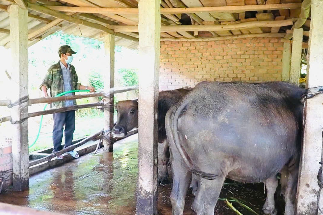 Quảng Ngãi: Lan toả tinh thần phát triển kinh tế, giảm nghèo bền vững