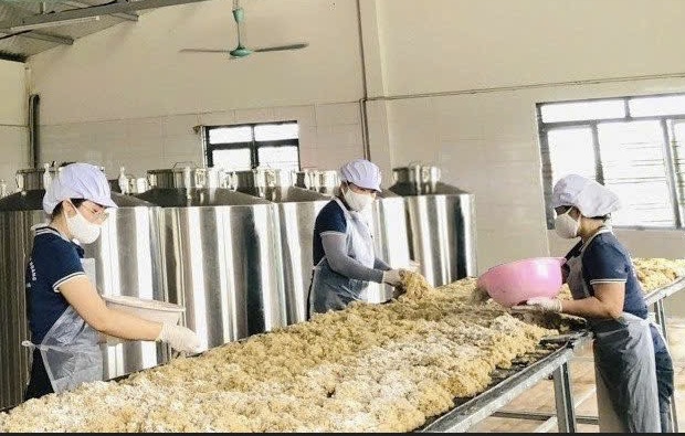 Quảng Ninh: Xây dựng thương hiệu OCOP bền vững, hội nhập
