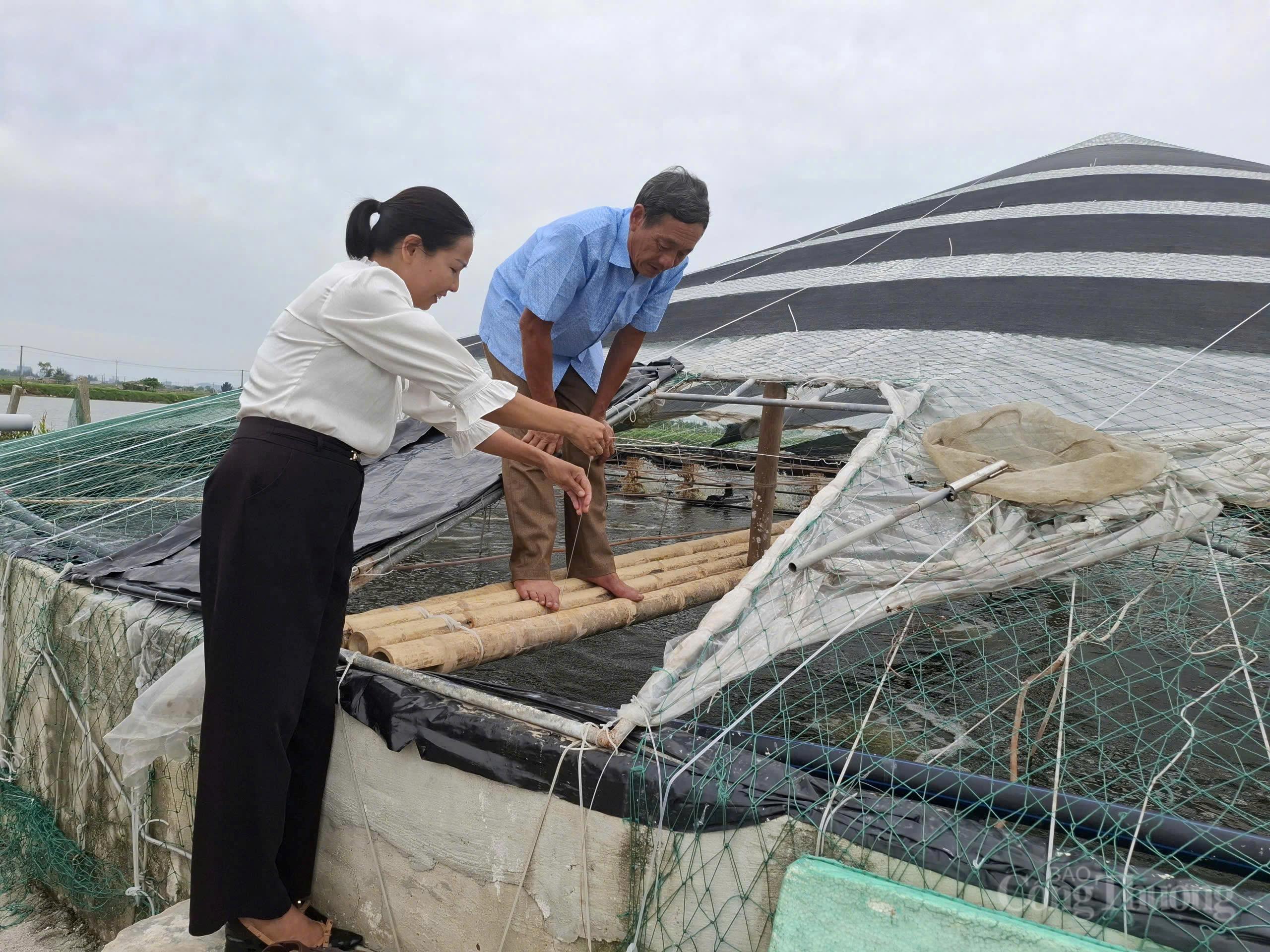 Thanh Hóa: Nông dân làm giàu nhờ ứng dụng nuôi tôm công nghệ cao