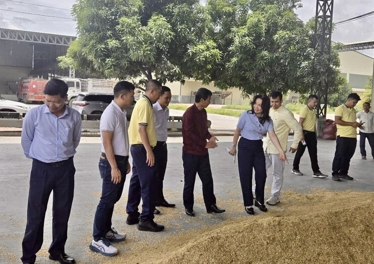 Phó Tổng Giám đốc Nguyễn Thị Hiền cùng đoàn công tác trao đổi trực tiếp với đối tác về chất lượng nguyên liệu và tập quán canh tác của nông dân Campuchia (Ảnh PVCFC)