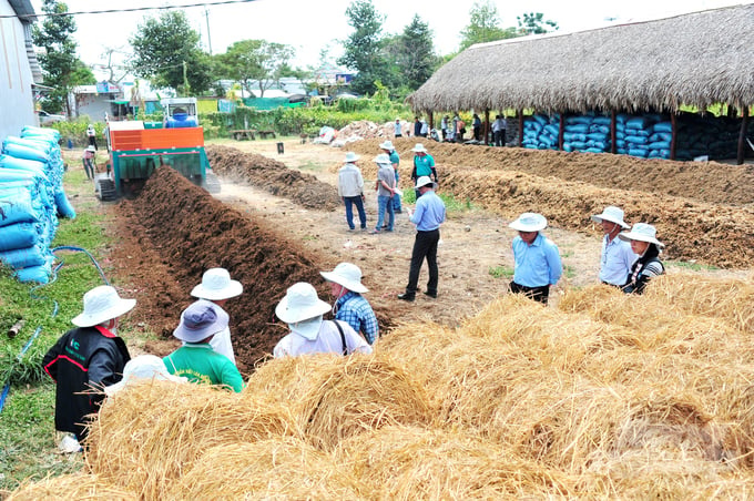 Cần Thơ biến rơm rạ thành 'vàng nâu', mở lối thoát nghèo bền vững