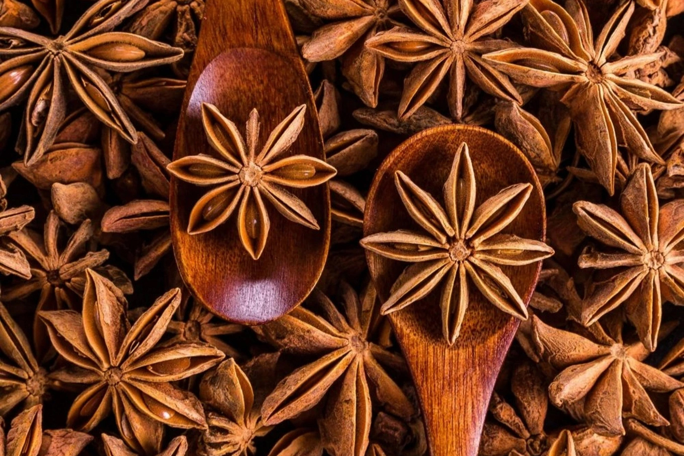 Những cánh sao nhỏ thắp sáng sinh kế miền sơn cước