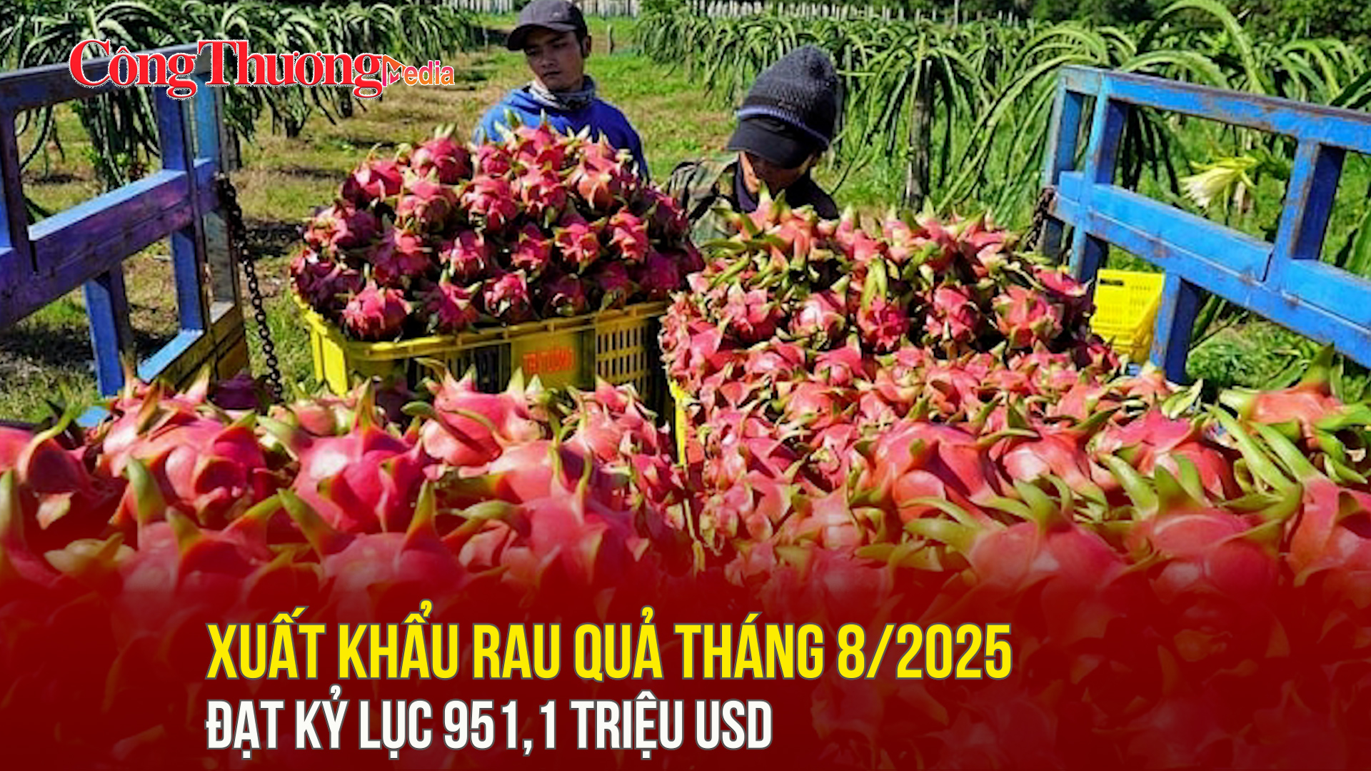 Xuất khẩu rau quả tháng 8/2025 đạt kỷ lục 951,1 triệu USD