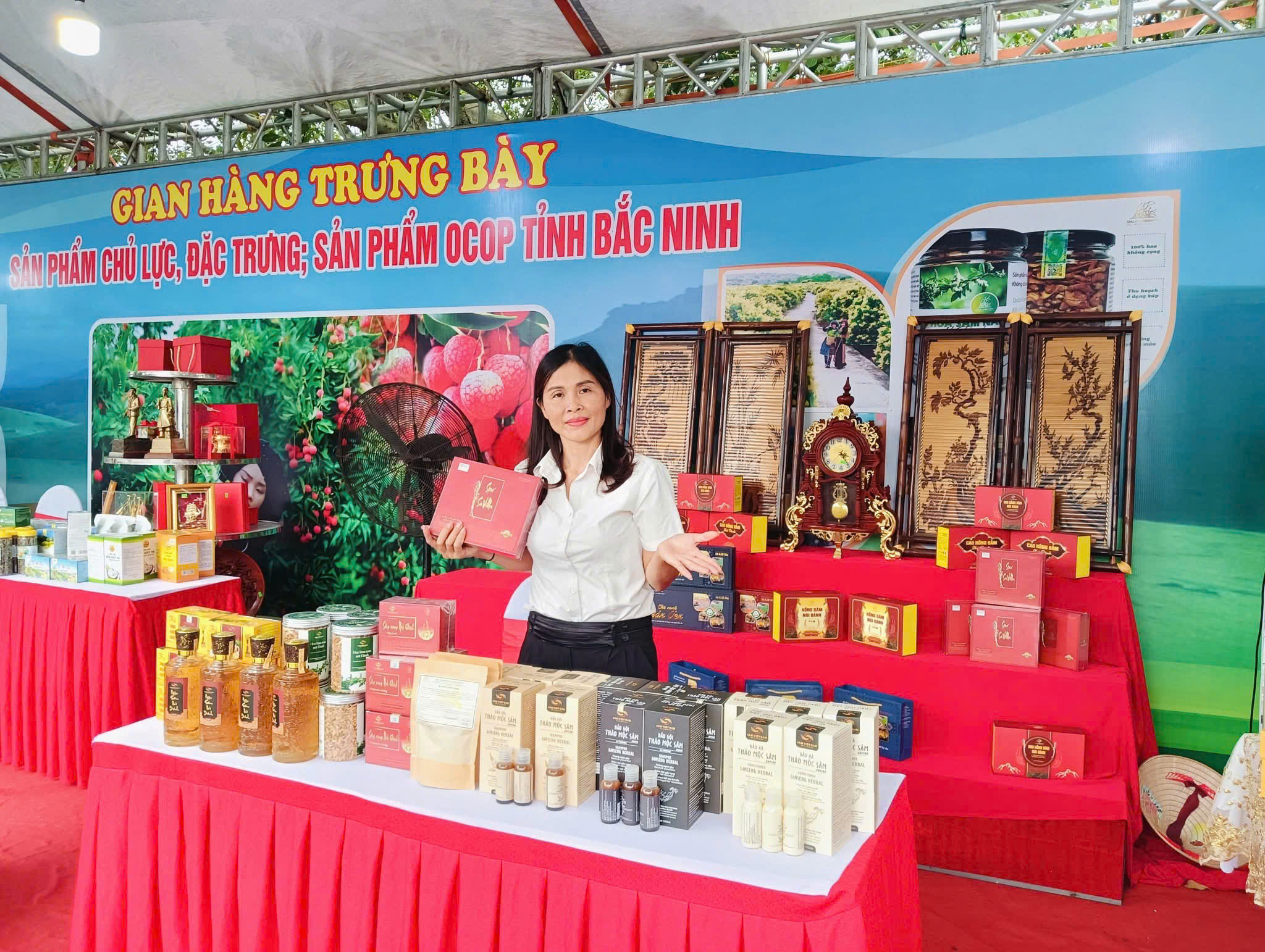 Sâm núi Dành tiến vua: Doanh nghiệp gắn kết di sản và thị trường