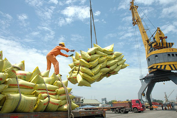 Hướng dẫn chi tiết thủ tục xin Giấy phép kinh doanh xuất khẩu gạo