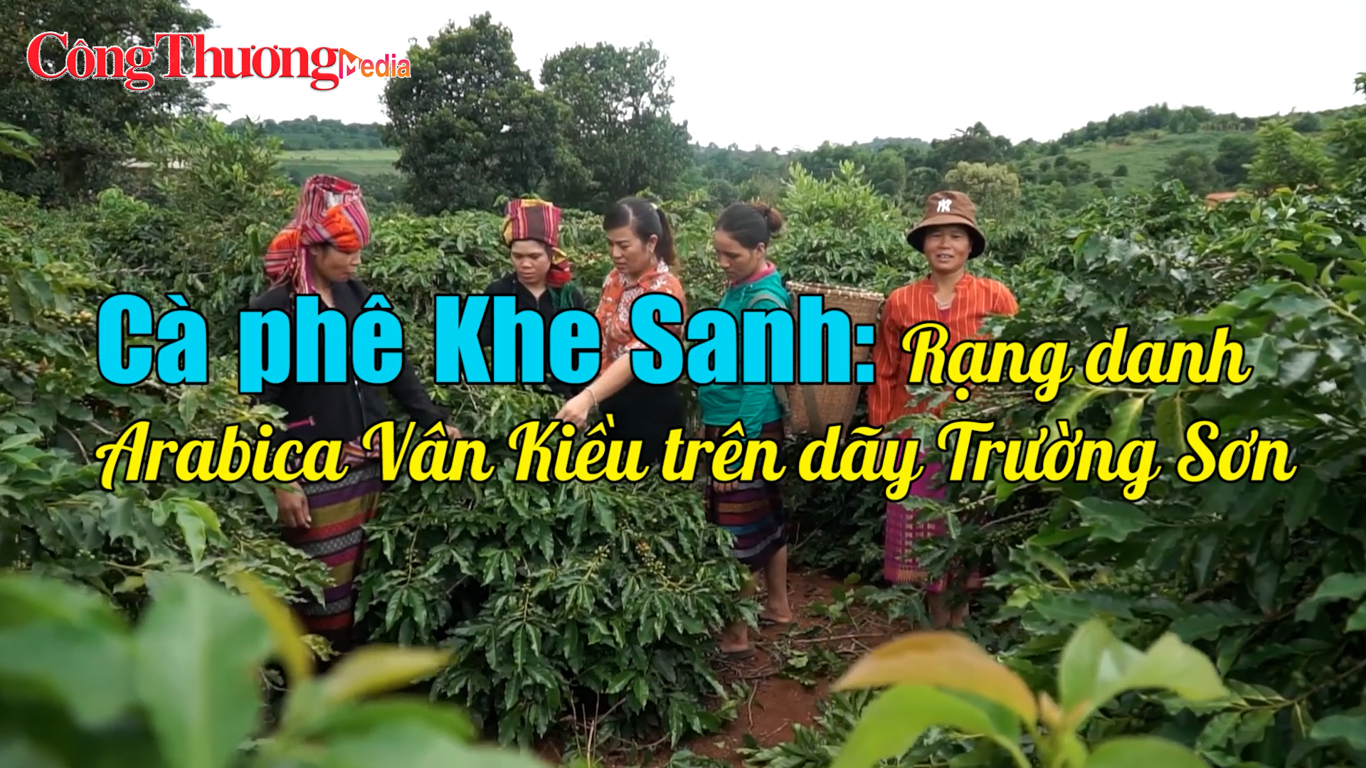 Cà phê Khe Sanh: Rạng danh Arabica Vân Kiều trên dãy Trường Sơn