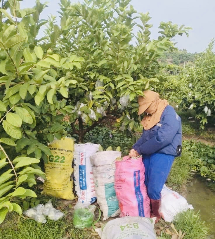 Công nghệ cao mở đường làm giàu cho nông dân Bắc Ninh