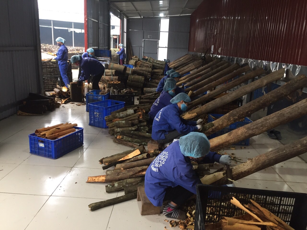 Lào Cai: Người dân đổi đời nhờ chương trình hỗ trợ rừng và trang trại