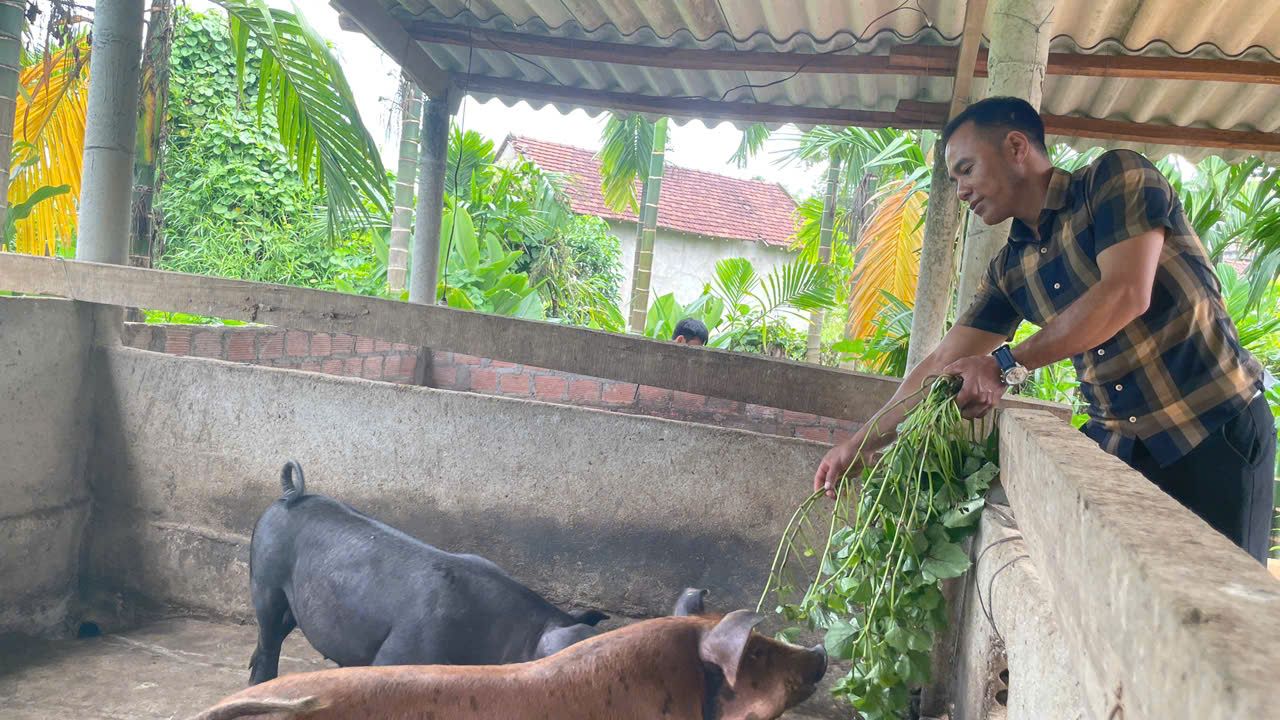 Quảng Ngãi: Người H’rê thoát nghèo nhờ sức trẻ