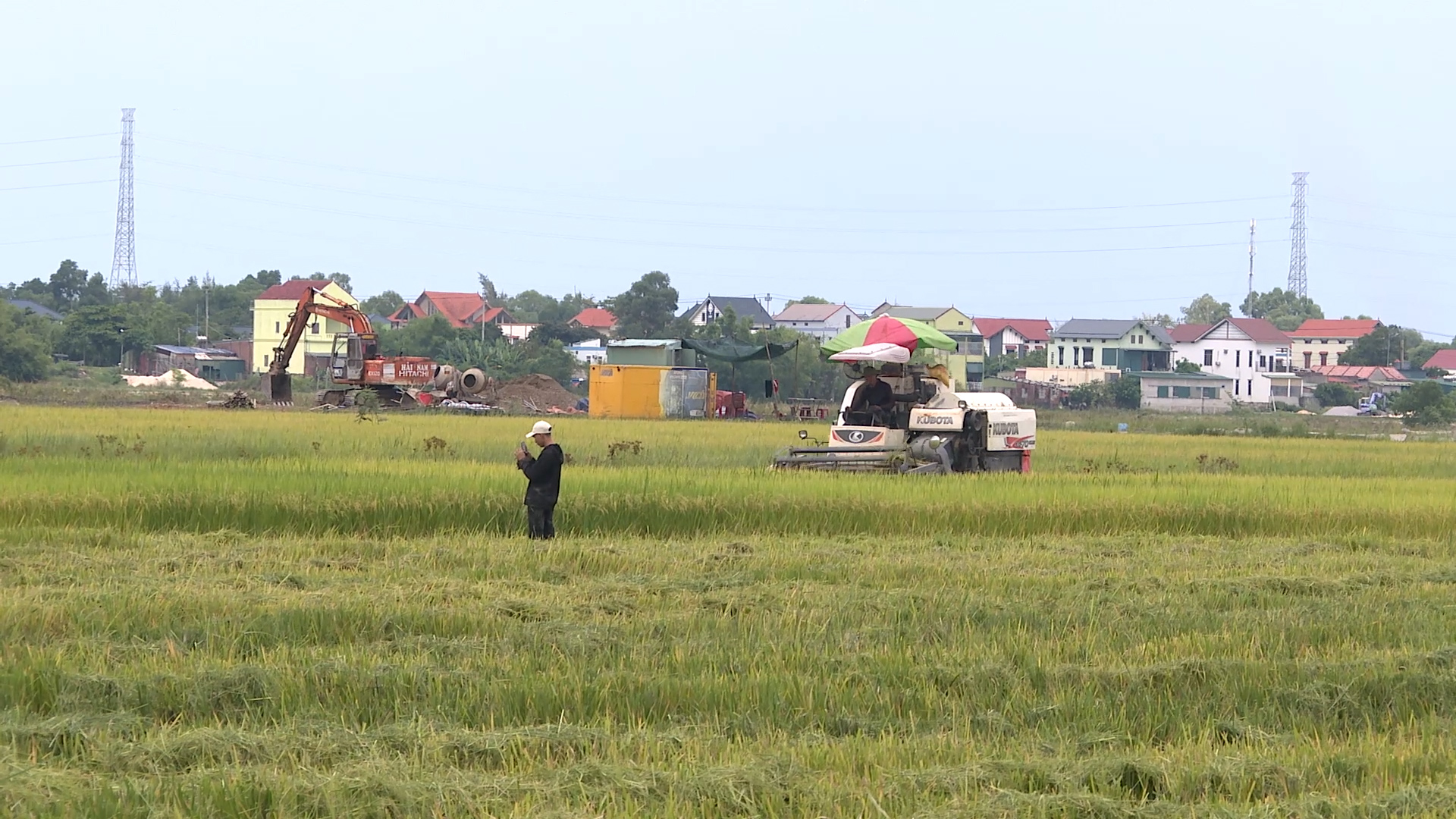 Quảng Trị: Xây dựng chuỗi liên kết, tiêu thụ lúa cho vùng nông thôn