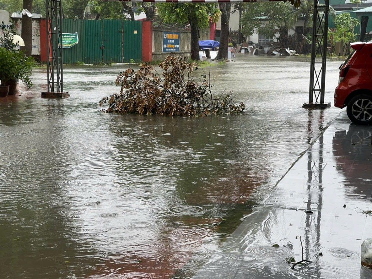 Thông tin mới nhất về thiệt hại do bão số 10 gây ra tại tỉnh Thanh Hóa