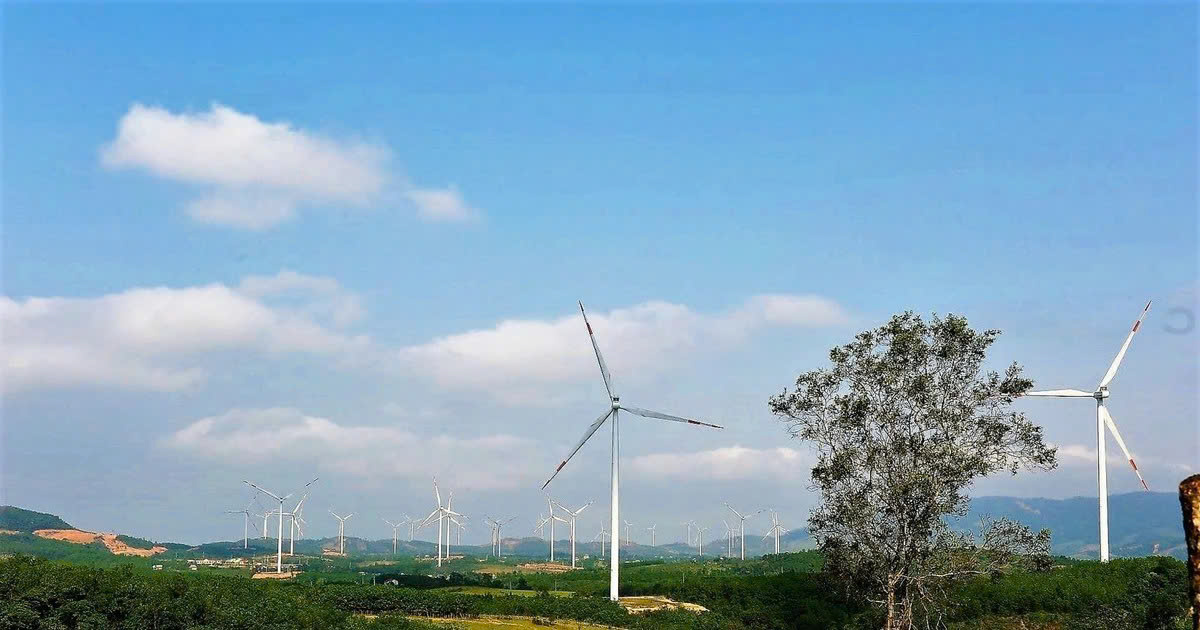 Quảng Ngãi: Gỡ vướng cho Dự án Nhà máy điện gió Kon Plông